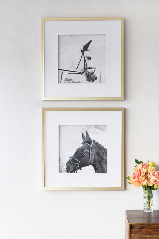 Set of 2 Wall Art Horse Animal Printing, Wall Decor Accent, 22' x 22'