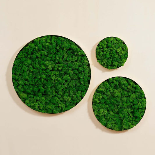 Round Framed Moss Wall Decor, only the Medium pc 18.1*18.1*2 in