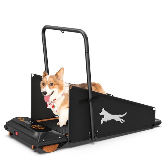 Dog Treadmill Small Dogs - Dog Treadmill for Medium Dogs - Dog Pacer Treadmill for Healthy & Fit Pets - Dog Treadmill Run Walk